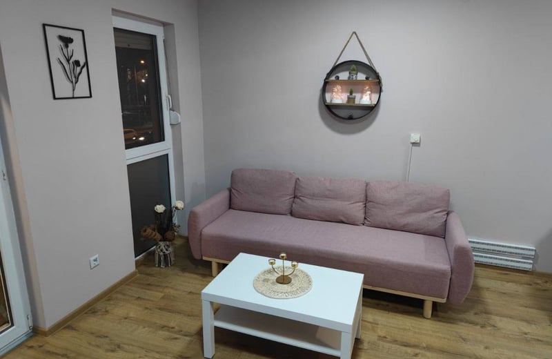 Miete einer möblierten 2-Zimmer-Wohnung, 60 m², Belgrad, Serbien